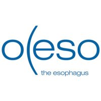 OESO(@_OESO_) 's Twitter Profile Photo