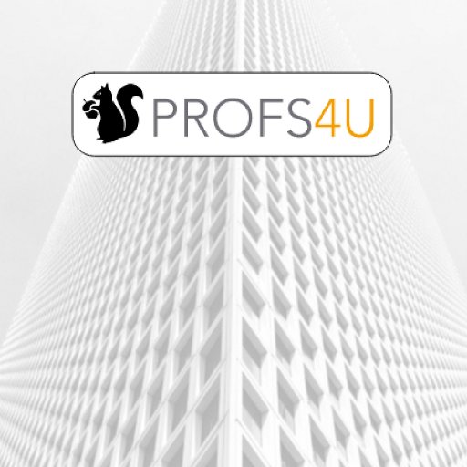 Profs4u provides managed services and technical resources across Europe.