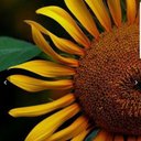 Bryan Gaither - @bgaitherkc - Twitter