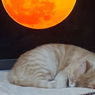 gakunora's profile picture. ポンコツなので、ほぼ備忘録です🙋
宜しくお願いします。
無言フォローご免なさい🙇。