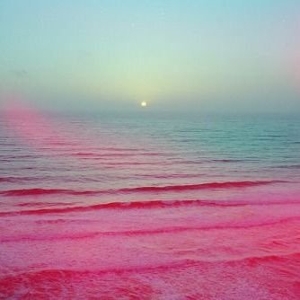 niskoth's profile picture. I enjoy learning, self teaching, thinking for myself, noticing things.