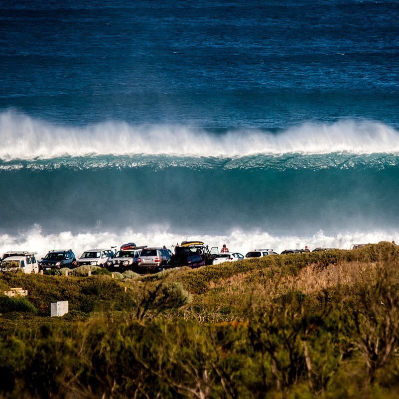 scasewell2's profile picture. 