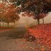 ☘🍁🍃🍂 (@amoodinator) Twitter profile photo ☘🍁🍃🍂 (@amoodinator) Twitter profile photo