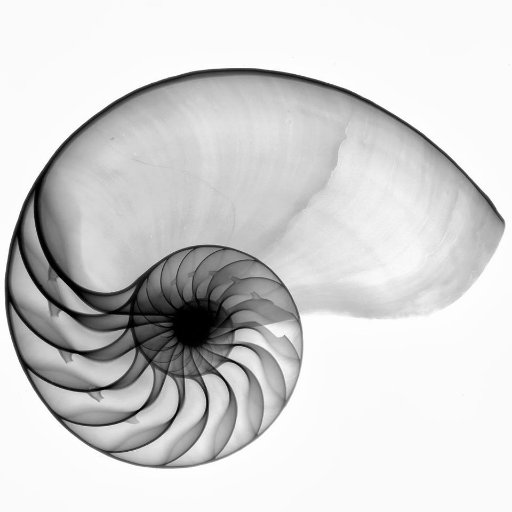 politicabellezz's profile picture. Fucina di idee per una rivoluzione permanente all'insegna della bellezza!