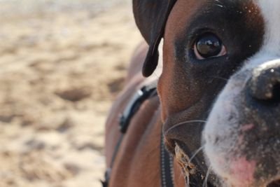 Spaceinvaders13's profile picture. Petits trucs