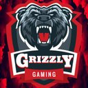 Grizzly Gaming (@Grizzly_GamesYT) Twitter