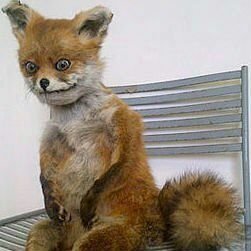 cruxlyouth1's profile picture. En 2001 me querian abortar pero como estaba caro no pudieron