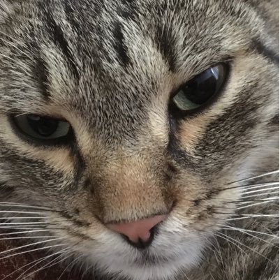 Meier97263986's profile picture. 