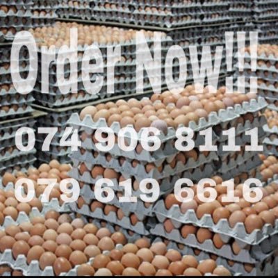 We are a company based in polokwane. We specialize in Egg sales 🥚 and Transportation for goods 🚚... Free deliveries around polokwane...