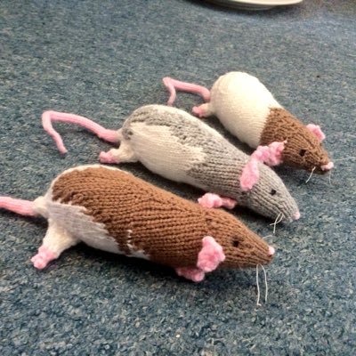 🐀 Handmade knitted rats and other animals 🐀 Lots of colours & designs available 🐀 Bespoke knitlings can be made from your photos! 🐀 £20 plus P&P. 🐀