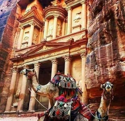 eKrZEJJW1wtr0ef's profile picture. 