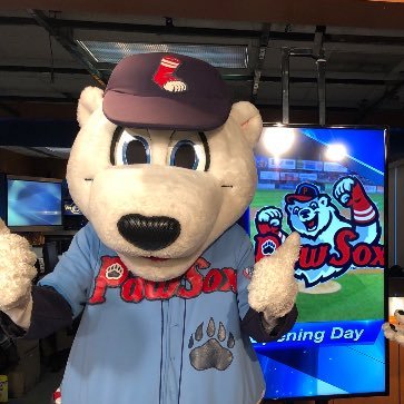 I am one of two official mascots of the Pawtucket Red Sox also follow me on Instagram @pawsthemascot