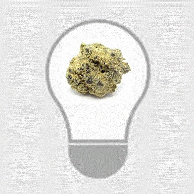 LEGAL GROWS IN HIGH DEMAND
https://t.co/wy6nXjeMEj tba
#Cannabis #Grow #Rooms
#Jobs for #Contractors
We give expertise, you get $ on your day off!