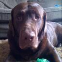 Kyle Lukens - @strikerflush - Twitter