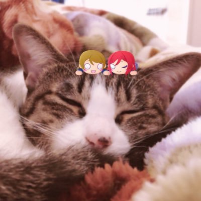 Irene_yhln's profile picture. 取引用垢