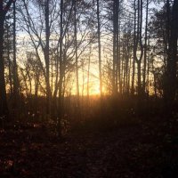 kimberly foster (@kim_foster22713) 's Twitter Profile Photo