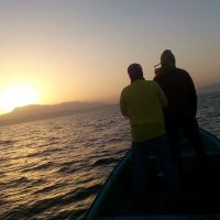 محمد الغماري (@mohd77alg) 's Twitter Profile