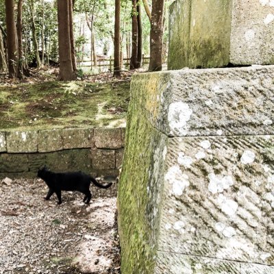 k65446692's profile picture. 