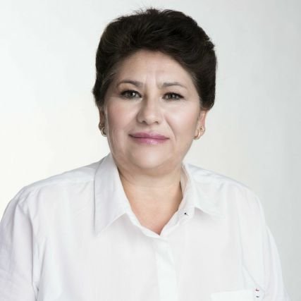 Candidata a Diputada Local Distrito IX Metepec #QuetaContigo