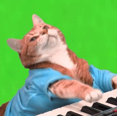 keachopp's profile picture. 