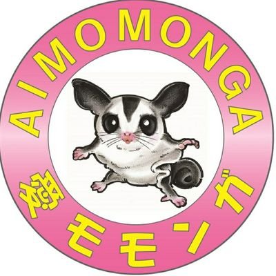 香川県でフクロモモンガ アカハナグマ 台湾チャオリアをベースに🇯🇵🇹🇼ホワイトやクリームポメラニアンのブリーダーもしてます ホームページ:愛モモンガ tiktok:モモンガとアンの日常❣️ 気になる方はDM、LINEにてご連絡下さい!ね。 アン君達成長日記も宜しくお願いします
