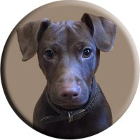 Paul's Art (@pcb1art) 's Twitter Profile