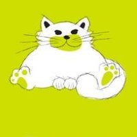 Keighley Cat Care(@KeighleyCatCare) 's Twitter Profile Photo