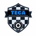 Top Eleven Clubs Association (@WeAreTECA) Twitter profile photo