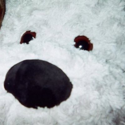 udJ6QgWEMO4cruY's profile picture. 