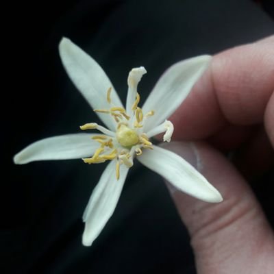 hakan_dygn's profile picture. Reads, thinks, and reads again.

Landscape architecture / History / Archaeology / Philosophy / Art .