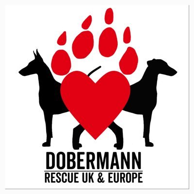 Rescuing Dobermann’s from the UK & Europe. We are 100% dedicated to our breed and have saved and re-homed so many from abuse and neglect. charity no 1169697