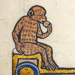 Hat-wearing devourer of chickpeas, indignant vegan, manager of identities, developer of obscure software, daft-apeth.
Alignment: Quixotic-Good