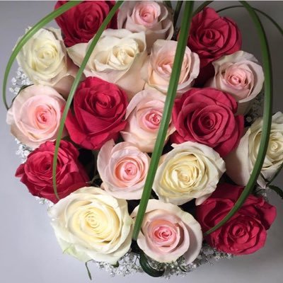 GhadaJamil5's profile picture. 