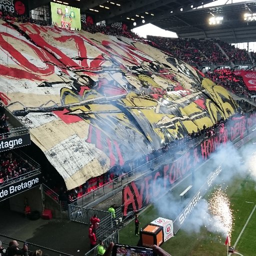 Breton de sang et du cœur 
Fan du ballon rond qu'il soit joué sur un parquet ou sur une  pelouse 
#SRFC #Raptors