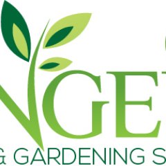 Professional Tree Trimming Service