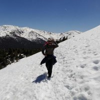 Javier Salas Herrera (@jsalasiidinos) 's Twitter Profile Photo