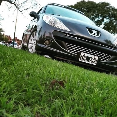 merolli38's profile picture. 