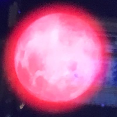 slotmachine55's profile picture. 暇人