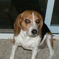 Jana (@janawgator) 's Twitter Profile