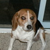 Jana (@janawgator) Twitter profile photo