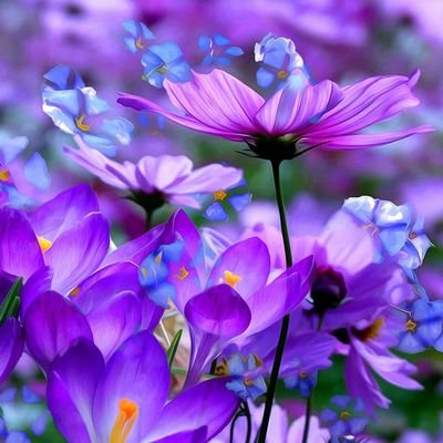 z8C540MYPwJnpxY's profile picture. 猫２匹    海釣り 陸っぱり   社会人野球