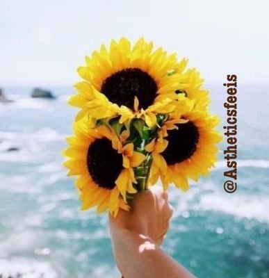 Aesthetics Goals (@AstheticsFeeIs ) Every flower is a soul blossoming in nature. Amongst the flowersπΊ. botanical #Aesthetics ! All Credits goes to my Fan & Followers. Aesthetics Goals (@AstheticsFeeIs )