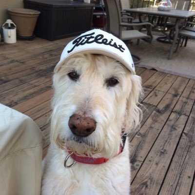 GregEnserro's profile picture. God, Family, EMAW, Royals, Chiefs