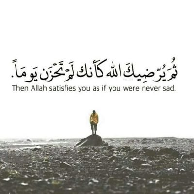 essaharby3's profile picture. 