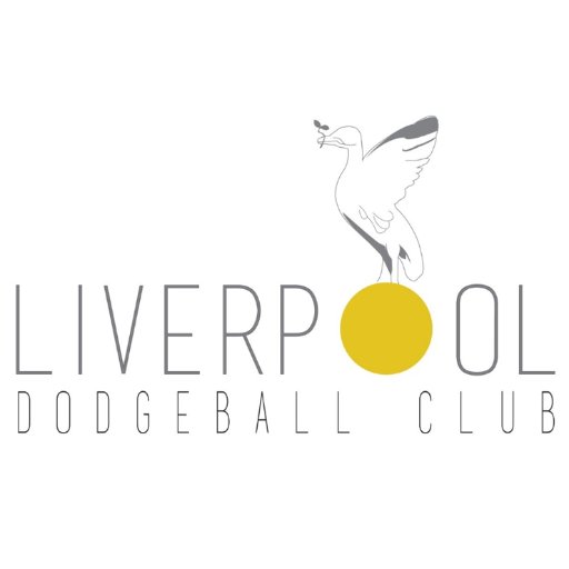 LIVERPOOL'S FIRST AND ONLY DODGEBALL CLUB.  We provide sessions for children 5-11s, juniors 11-16 and 16+/adults. Friday 6-7pm at Greenback Academy