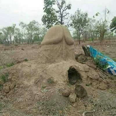 Kaiyung2's profile picture. แทงปลาไหลน่ะ