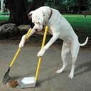 John Sitter - @expertpooper - Twitter