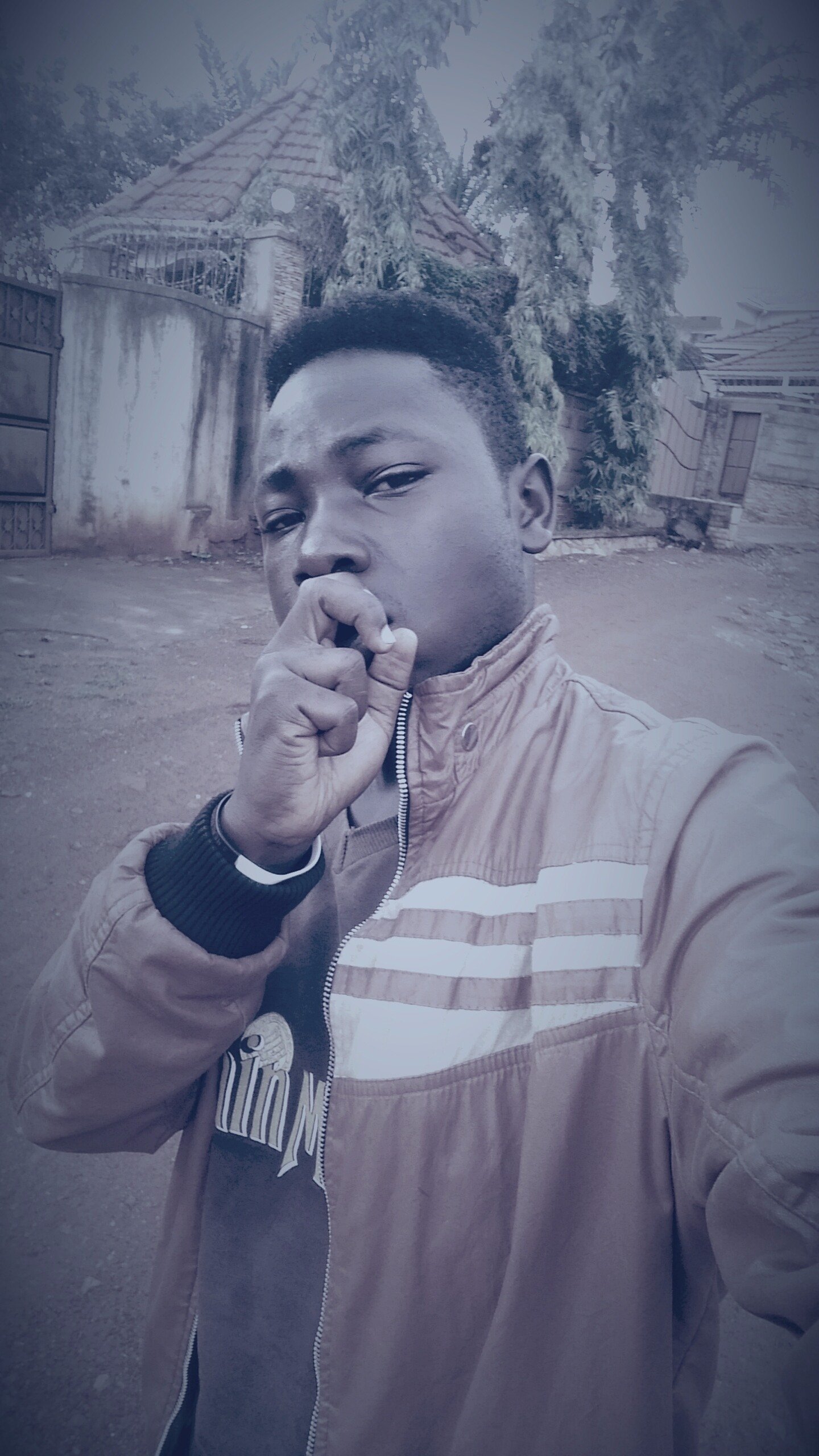 ryvol_sano's profile picture. 