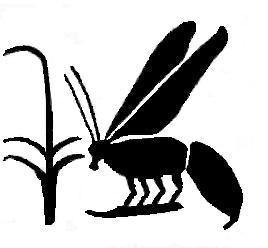 Bumblingbeekeep's profile picture. 