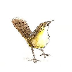 sosam_originals's profile picture. Artist, crafter, designer